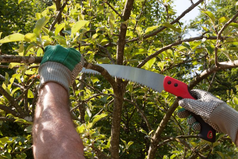 Orchard Tree Pruning in Pottstown, PA