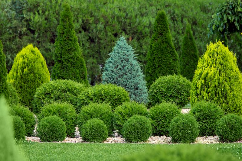 Shrub Shaping in Rockwall, TX